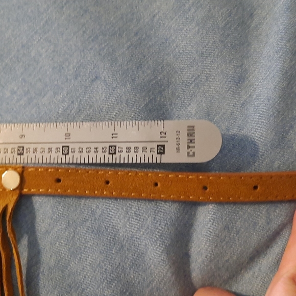 Sm/med fringe dog collar 10-14 in neck nwot - Picture 2 of 4